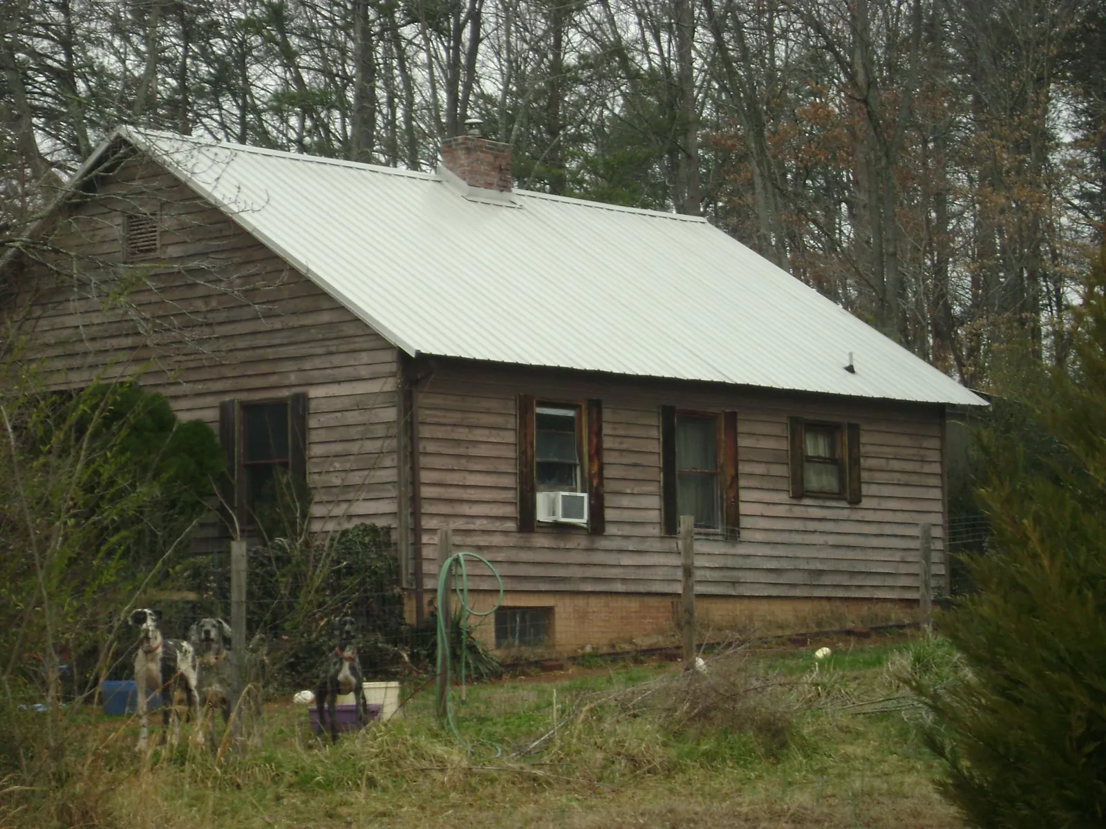 White metal roof on an old wood sided farmhouse, from a Asphalt Shingle Roof Repair job in West Fork
